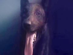 MULHER FICA ENGATADA