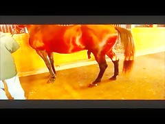 Thumb 17