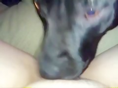 Dog sex threesome with Asian slut