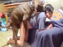 fucking her sweet pussy with dog dick