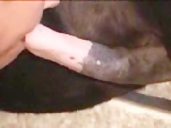 Thumb 6