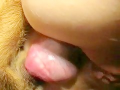 Thumb 18