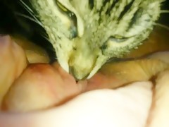 Thumb 10