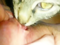Thumb 17
