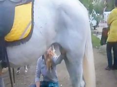  Ls Dog Sex