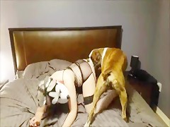 wifes and one horny dog