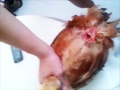 Shemale Fucks Chicken | Anal Dream House