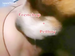 Petboy with frenchup