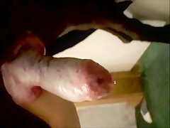 Drops of dog cum