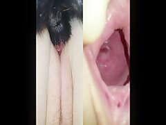 Zoosbook wide pussy