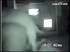 horny wife getting fucked by the dog