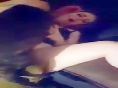 Pitbull fucks teen hard